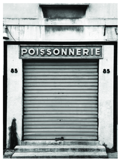 Nouvelle Photographie